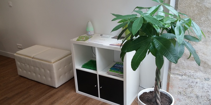 Cliquer pour agrandir